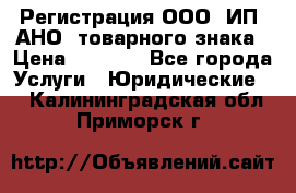 Регистрация ООО, ИП, АНО, товарного знака › Цена ­ 5 000 - Все города Услуги » Юридические   . Калининградская обл.,Приморск г.